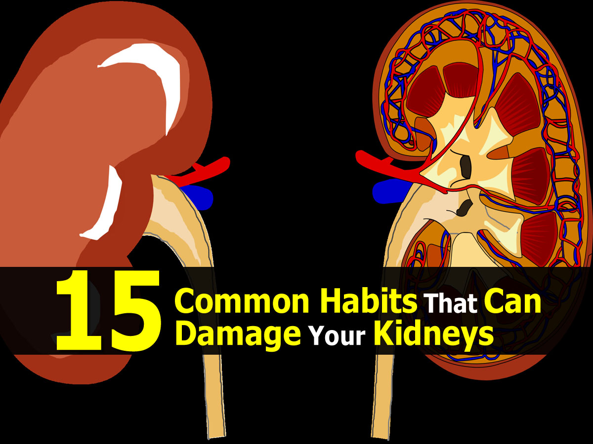 15 Common Habits That Can Damage Your Kidneys