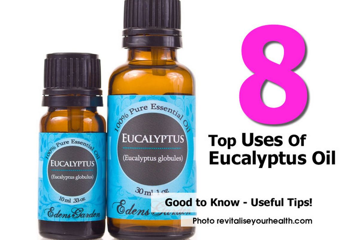 8 Top Uses Of Eucalyptus Oil