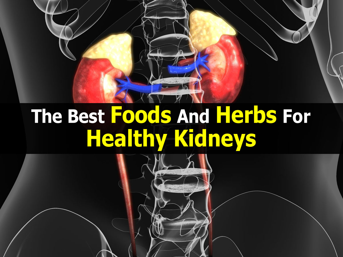 The Best Foods And Herbs For Healthy Kidneys