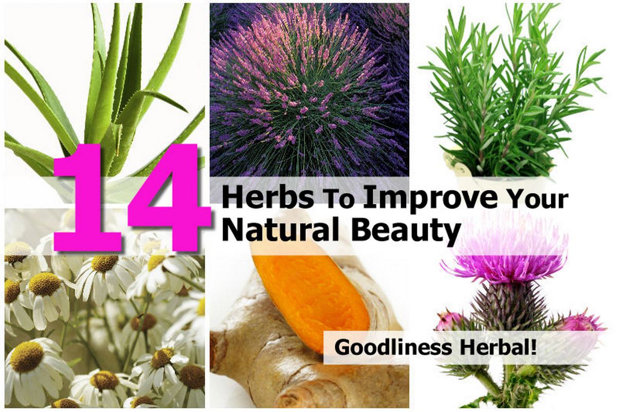 14 Herbs To Improve Your Natural Beauty