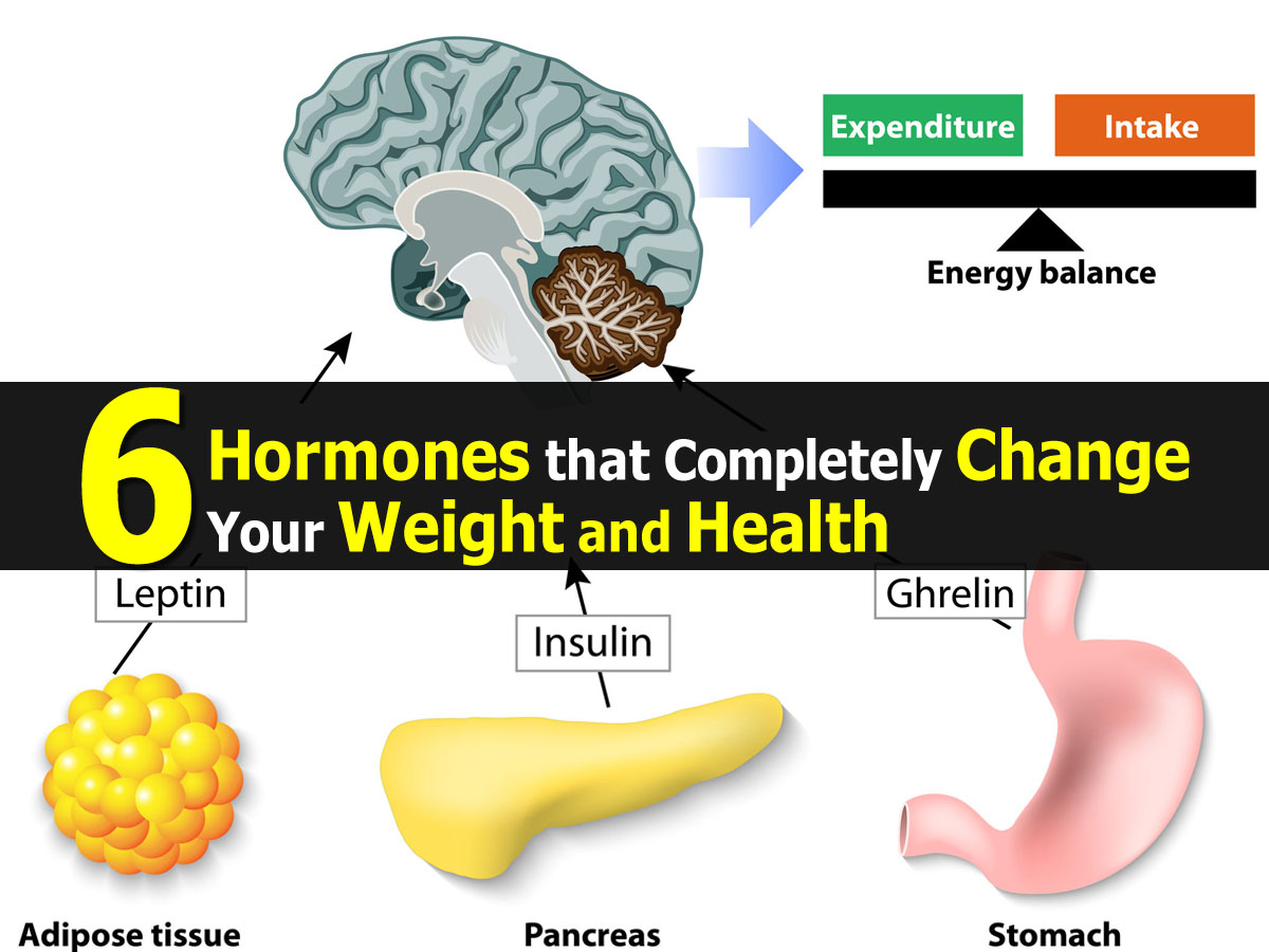 6 Hormones that Completely Change Your Weight and Health