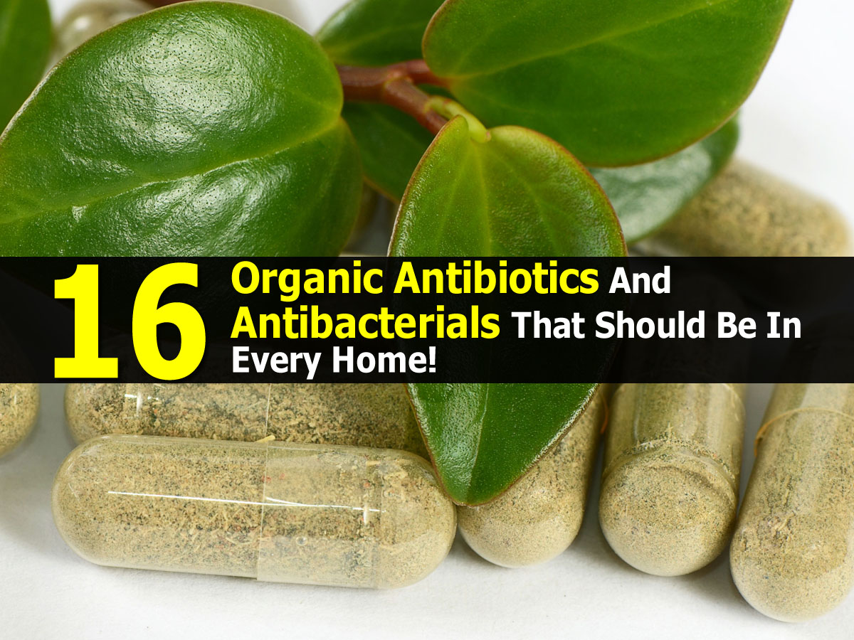 16 Organic Antibiotics And Antibacterials That Should Be In Every Home!