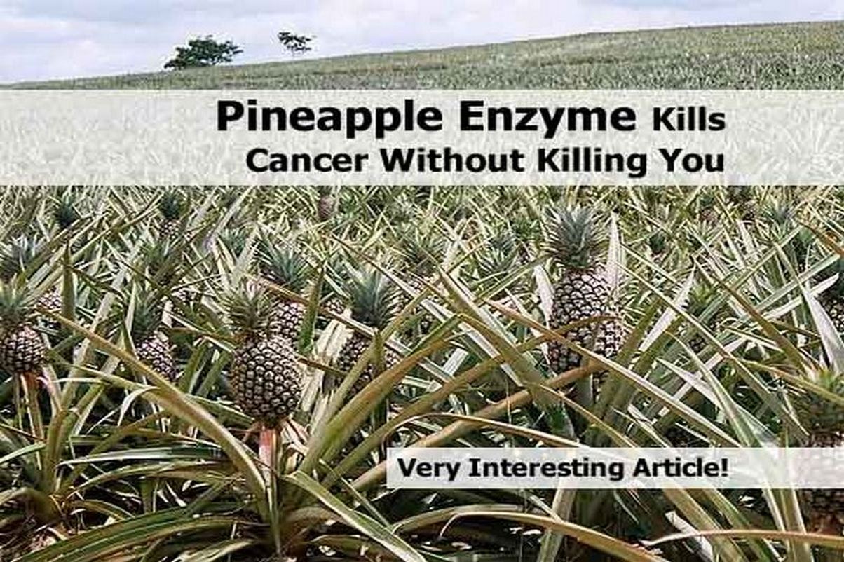 Pineapple Enzyme Kills Cancer Without Killing You