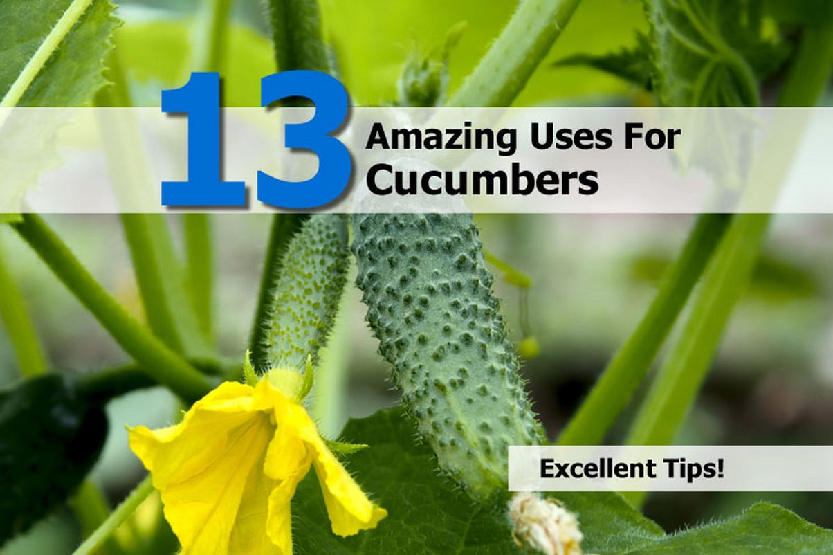 13 Amazing Uses For Cucumbers