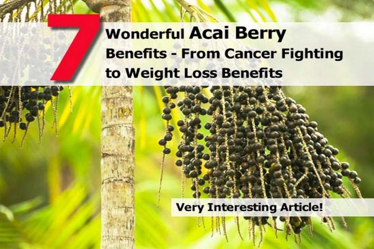 7 Wonderful Acai Berry Benefits From Cancer Fighting to Weight Loss